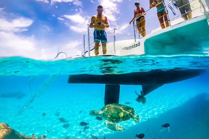 Klein Curacao Adventure Day Trip - Who should book this $120 day trip?