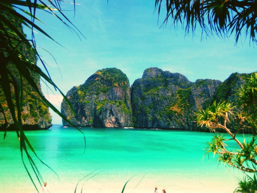 Ko Lanta: Phi Phi Day Trip by Speed Boat - Who gets the best value from the $55 price