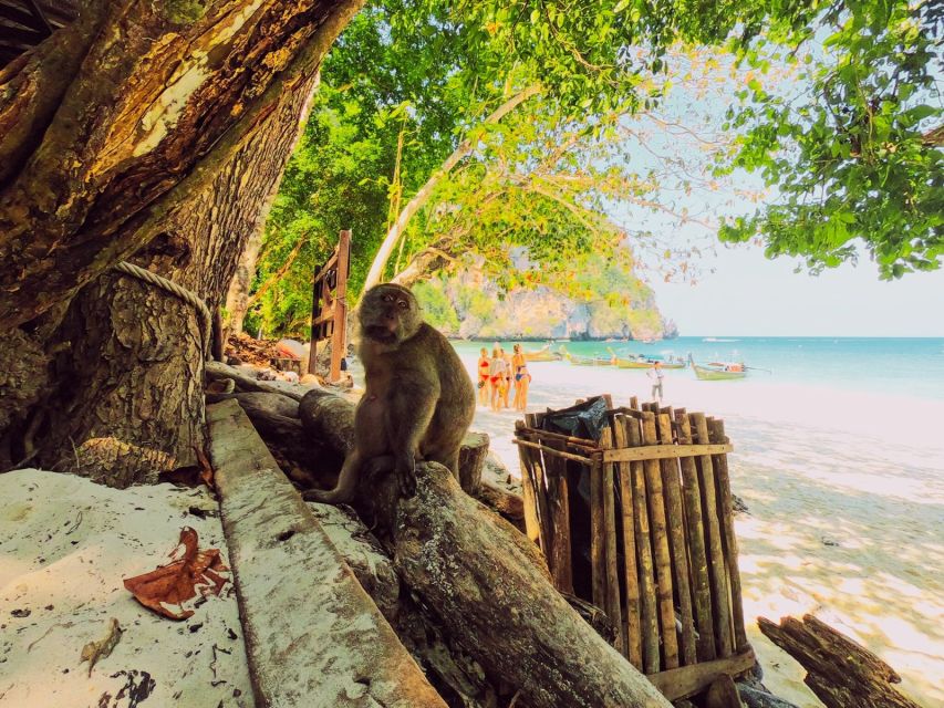 Ko Lanta: Phi Phi Day Trip by Speed Boat - Monkey Beach and the limits of the tide