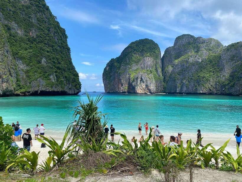 Ko Phi Phi Don: Speedboat Day Trip with Shark Snorkeling - A second reef stop for turtles and fish