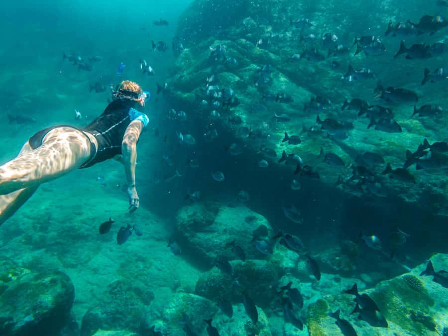 Ko Samui: Unique Ko Tao & Ko Nang Yuan Snorkeling Day Trip - Lunch on Koh Tao