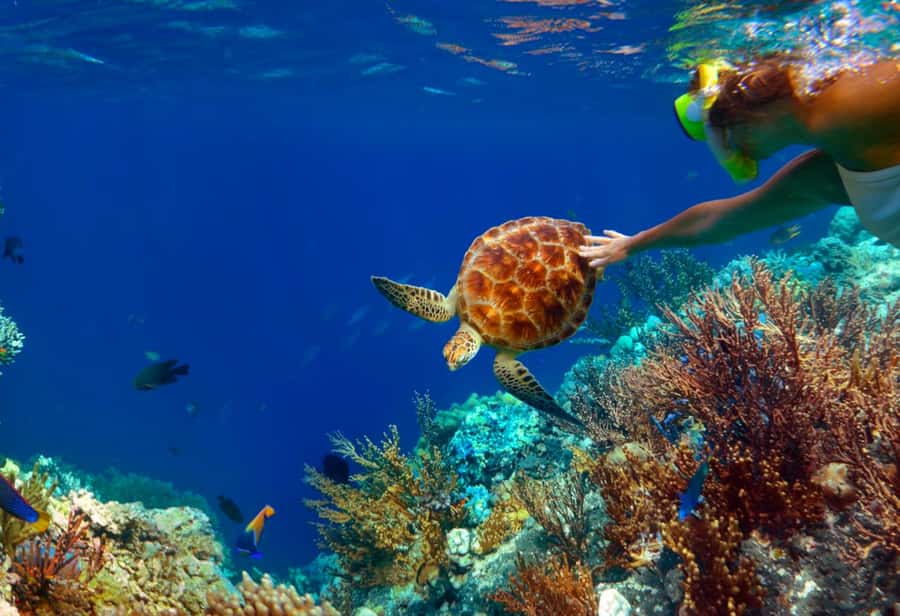 Ko Samui: Unique Ko Tao & Ko Nang Yuan Snorkeling Day Trip - Who will enjoy this day most