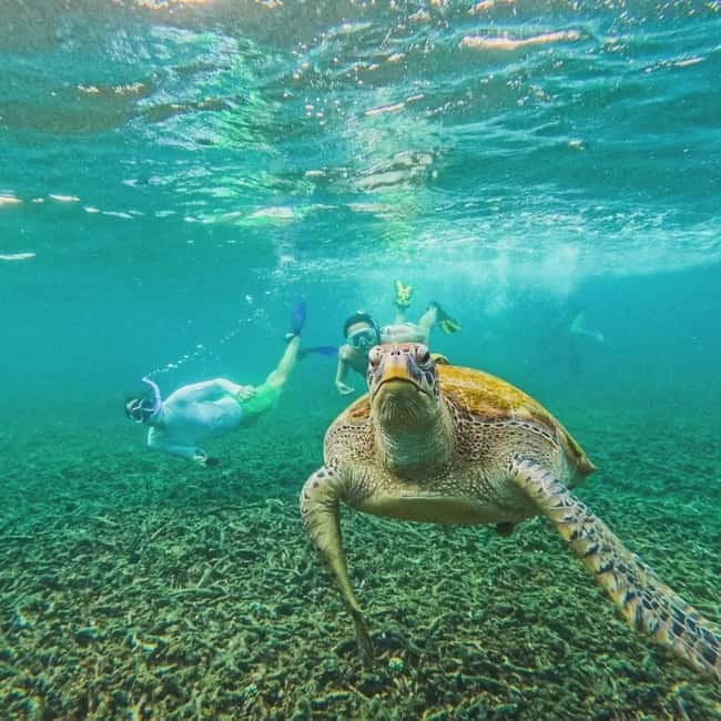 Ko Tao: Tao-Nangyuan Snorkeling Day Trip with Meals & Sunset - Mango Bay and the north coast
