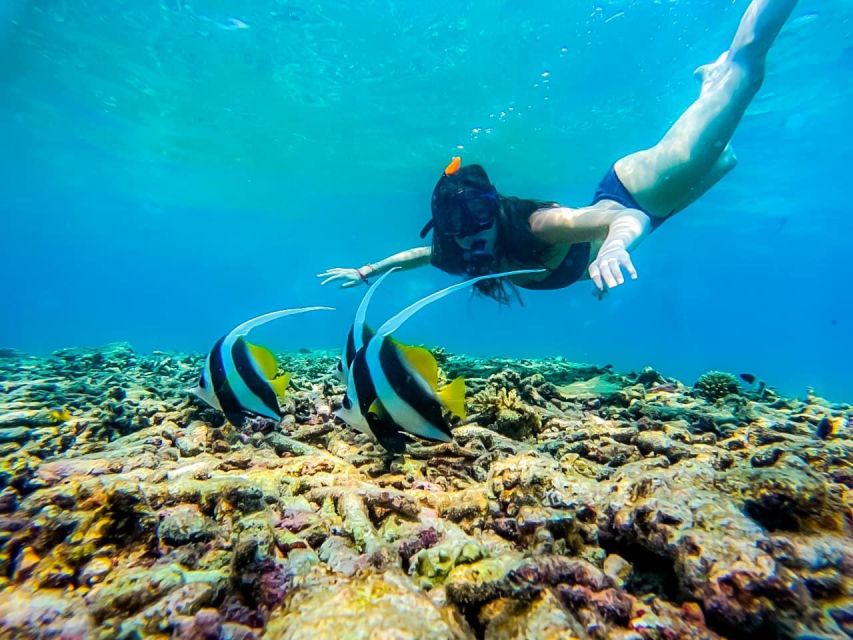 Ko Tao: Tao-Nangyuan Snorkeling Day Trip with Meals & Sunset - Hin Wong Bay and Aow Leuk