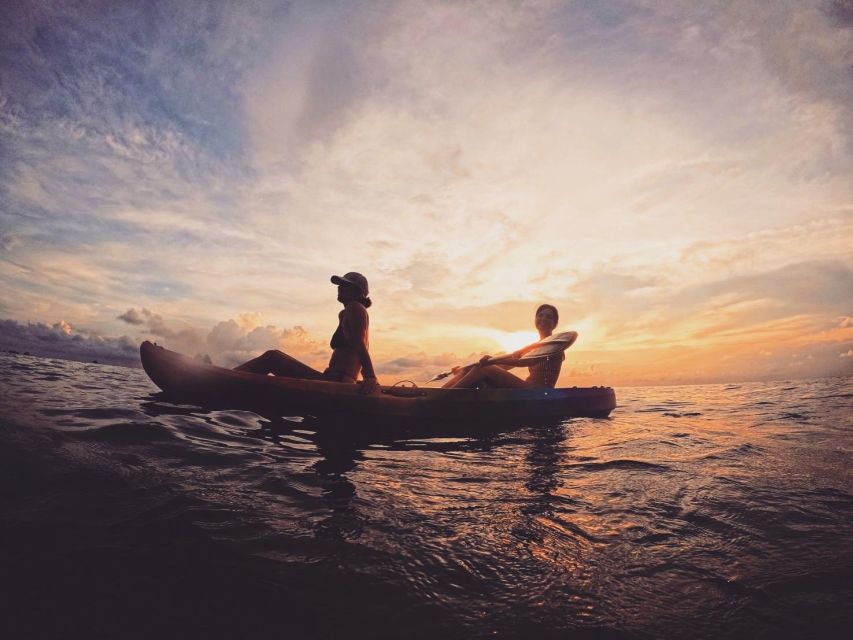 Ko Tao: Tao-Nangyuan Snorkeling Day Trip with Meals & Sunset - Shark Bay and the best animal sightings