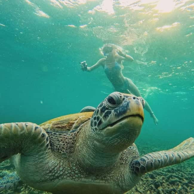 Ko Tao: Tao-Nangyuan Snorkeling Day Trip with Meals & Sunset - Underwater photos without another charge
