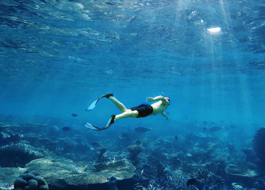 Koh Samui: Pink Dolphin, Pig Island, and Snorkeling Day Trip - Khanom Beach lunch and swimming