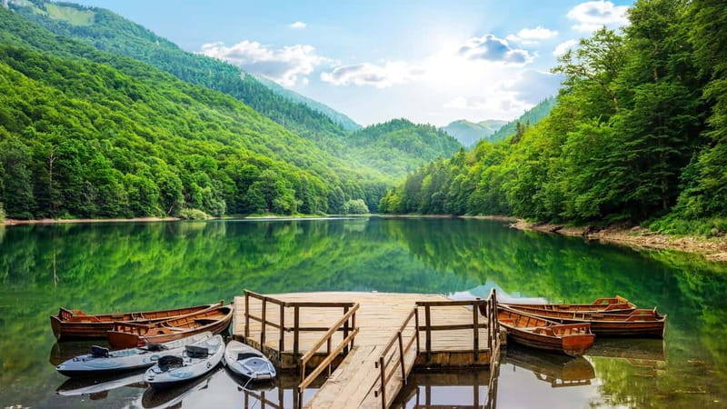 Kotor: Lake Skadar and Biograd Day Trip & Boat Ride - The road to Biogradska Gora
