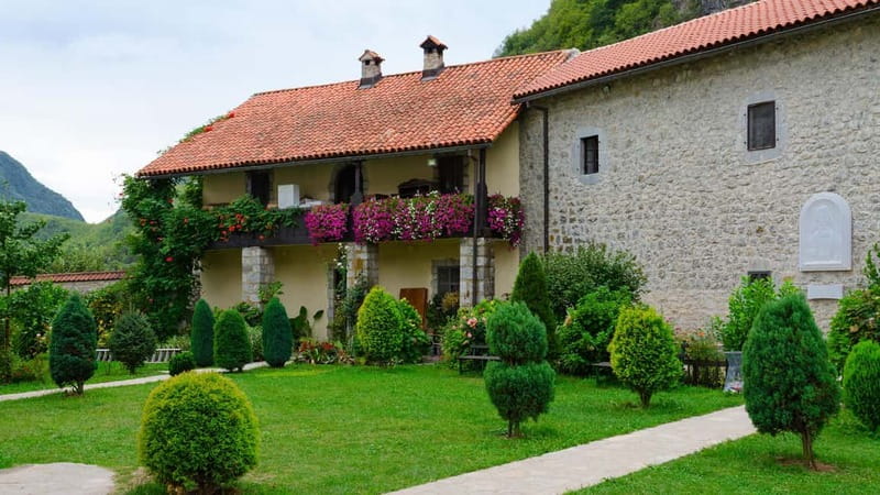 Kotor: Lake Skadar and Biograd Day Trip & Boat Ride - Timing, comfort, and the long return