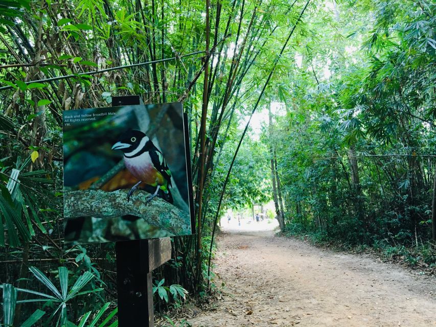 Krabi: Emerald Pool and Hot Springs Waterfall Half-Day Trip - What to bring for the pools and forest