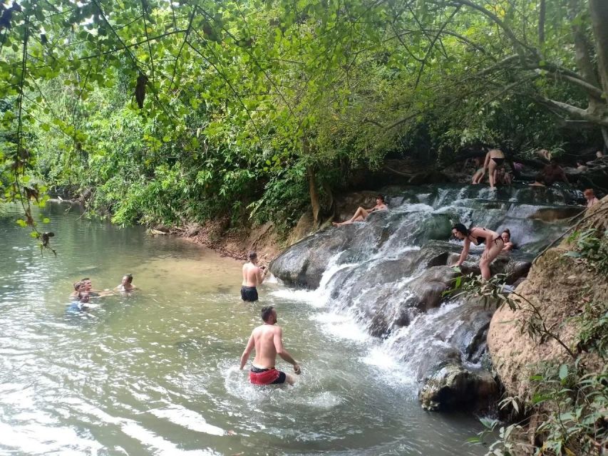 Krabi: Emerald Pool and Hot Springs Waterfall Half-Day Trip - What the Krabi nature trip actually includes