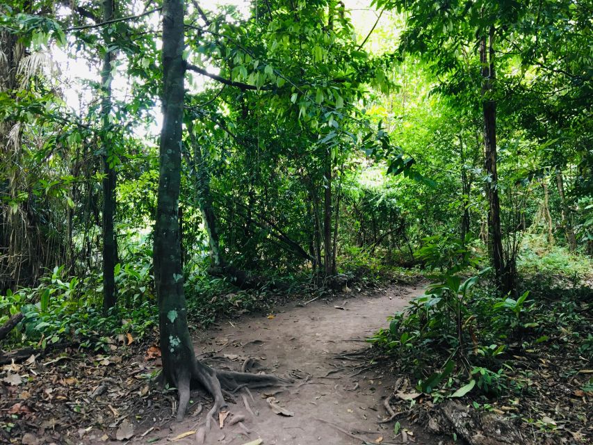 Krabi: Emerald Pool and Hot Springs Waterfall Half-Day Trip - The hot spring waterfall: one hour in warm water