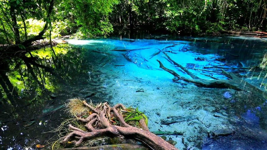 Krabi: Emerald Pool and Hot Springs Waterfall Half-Day Trip - Who will enjoy this half-day outing