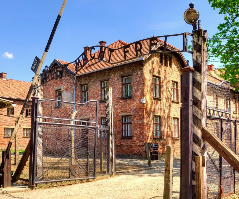 Krakow: Auschwitz-Birkenau and Wieliczka Salt Mine Day Trip - Key points to know before booking