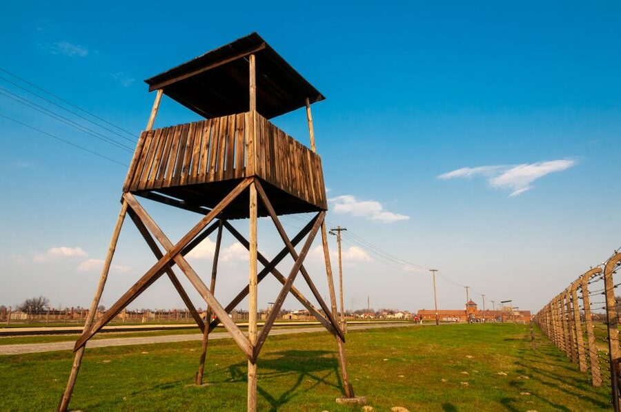 Krakow: Auschwitz-Birkenau and Wieliczka Salt Mine Day Trip - The order and pace of this long day