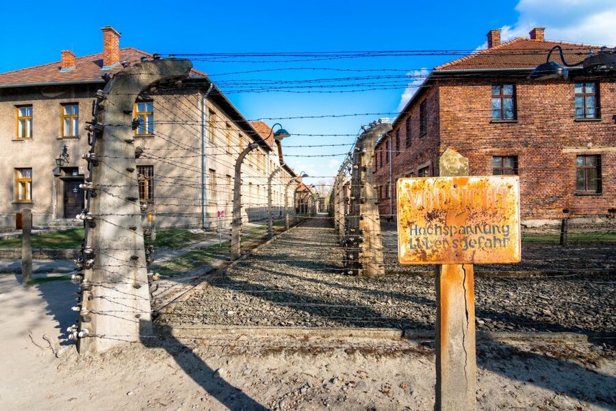 Krakow: Auschwitz-Birkenau and Wieliczka Salt Mine Day Trip - What the $131 price buys you