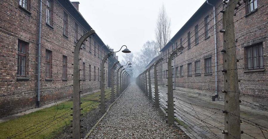 Krakow: Auschwitz-Birkenau Day Trip with Tour Leader - Practical details that can prevent problems