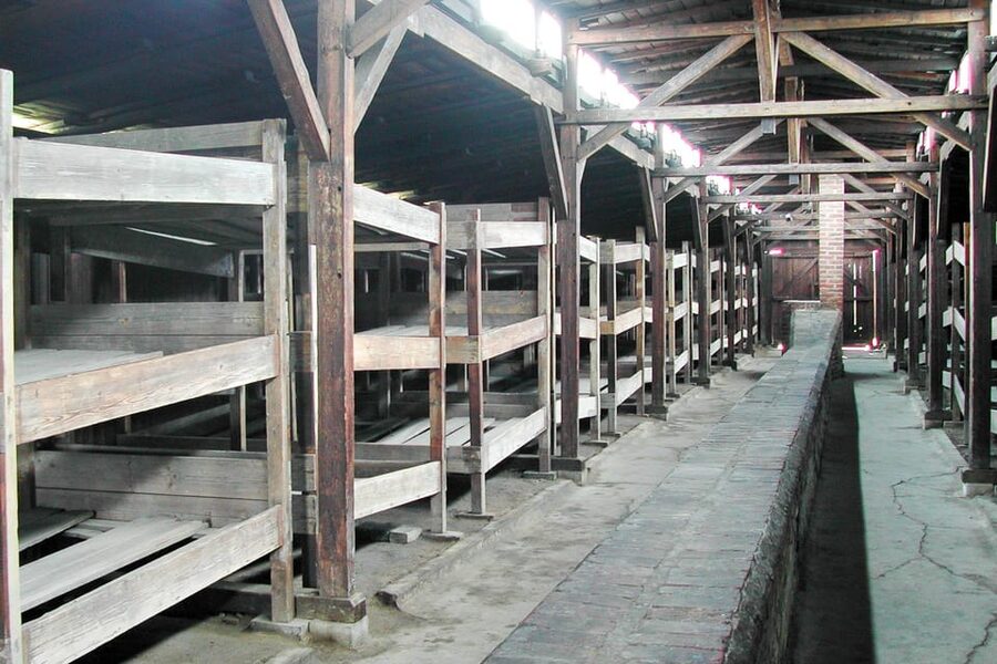 Krakow: Auschwitz-Birkenau Day Trip with Tour Leader - Why this Auschwitz day trip matters