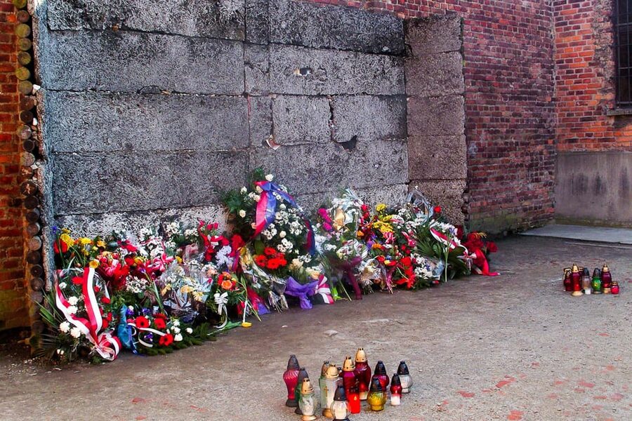 Krakow: Auschwitz-Birkenau Day Trip with Tour Leader - The short transfer to Birkenau