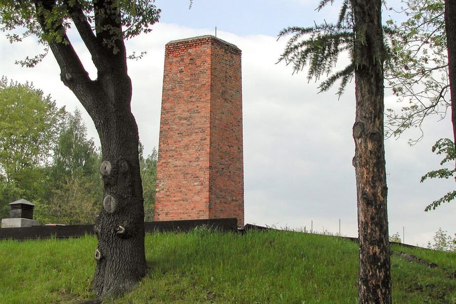 Krakow: Auschwitz-Birkenau Day Trip with Tour Leader - What the tour leader actually does