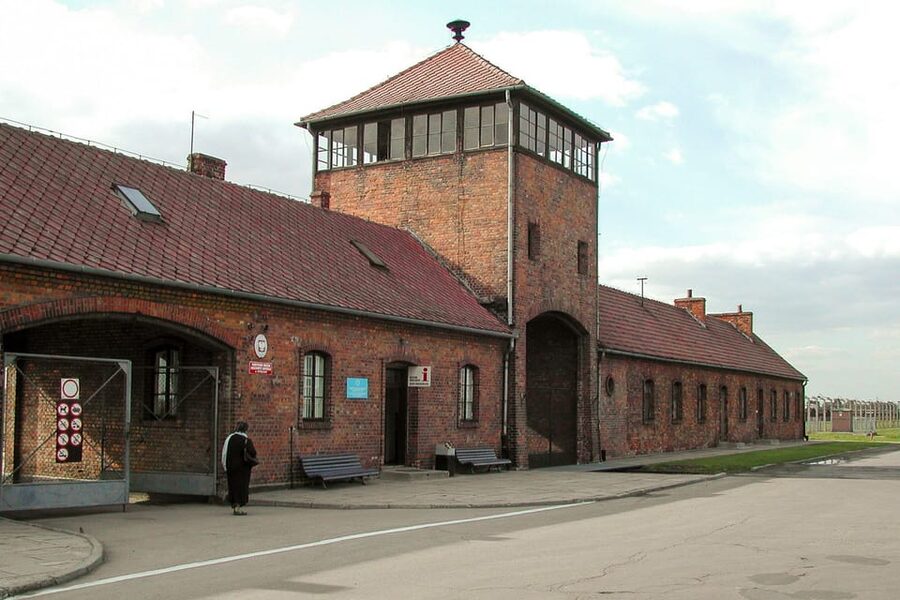Krakow: Auschwitz-Birkenau Day Trip with Tour Leader - Price and value at $37 per person