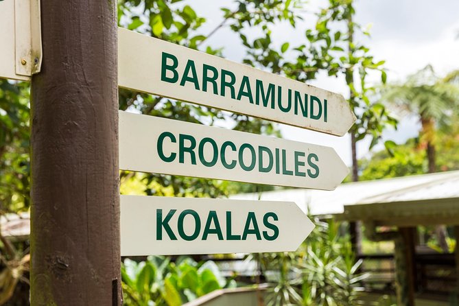 Kuranda Scenic Railway Day Trip from Cairns - Riding the Kuranda Scenic Railway