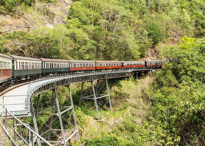 Kuranda Scenic Railway Day Trip from Cairns - Choosing the optional wildlife attractions