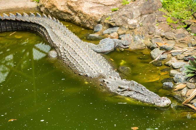 Kuranda Scenic Railway Day Trip from Cairns - Cost and what you actually receive
