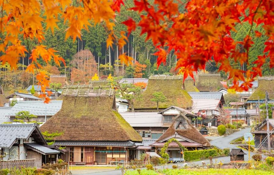 Kyoto: Miyama Village, Amanohashidate & Ine Bay Day Trip - Key details worth knowing