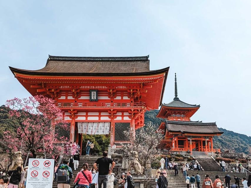 Kyoto/Osaka: Kyoto and Nara Sites & History Day Trip - What this Kyoto and Nara day actually gives you