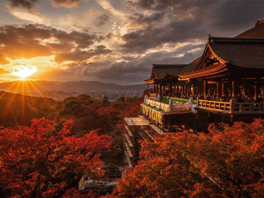 Kyoto/Osaka: Kyoto and Nara Sites & History Day Trip - Who will enjoy this tour most?