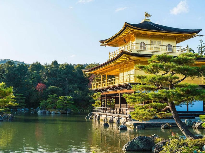 Kyoto/Osaka: Kyoto and Nara Sites & History Day Trip - Nara Park and Todai-ji: deer, open space, and a giant Buddha