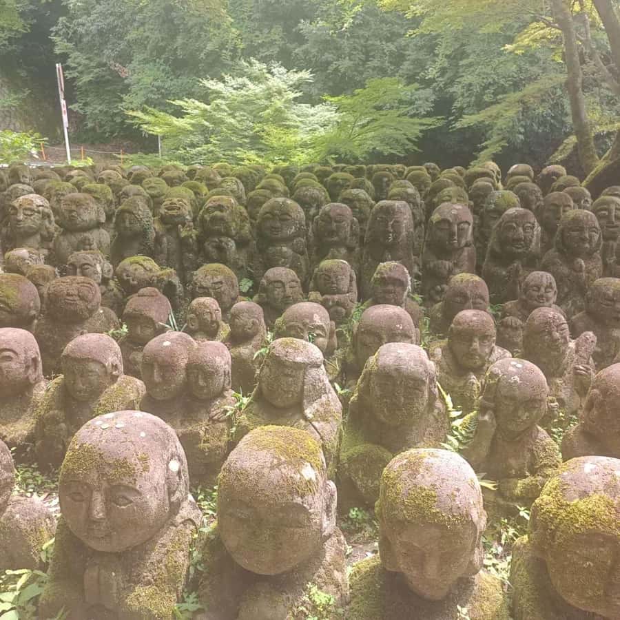 Kyoto: Private Customizable Day Trip by Car - The driver matters more than the brochure