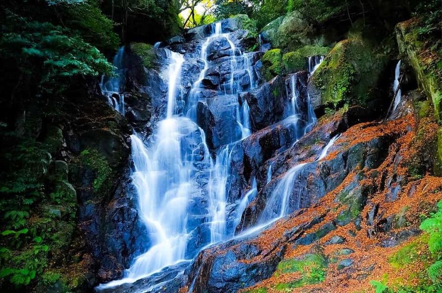 Kyushu Tour From Fukuoka: Itoshima Nature & Coastal Scenery - Who will enjoy this day most