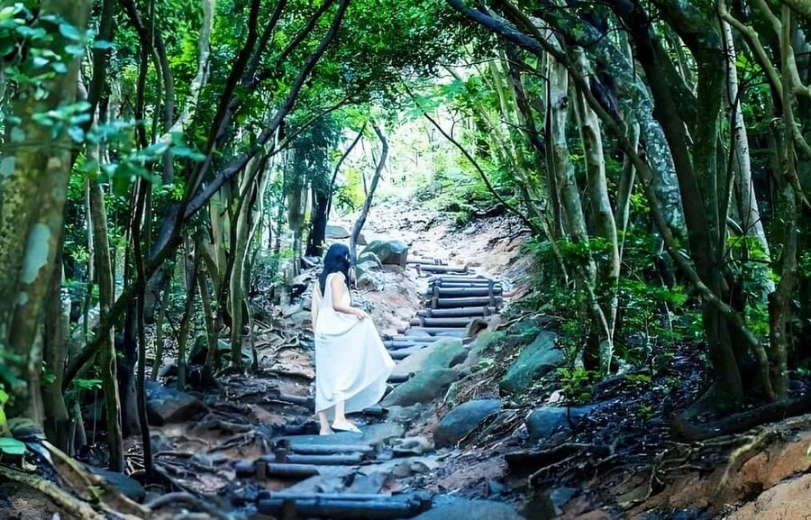 Kyushu Tour From Fukuoka: Itoshima Nature & Coastal Scenery - Sakurai Futamigaura and the couple stones
