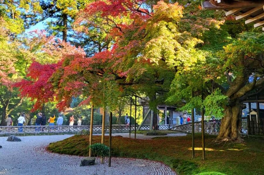 Kyushu Tour From Fukuoka: Itoshima Nature & Coastal Scenery - Fukuoka Tower or Momochihama Seaside Park