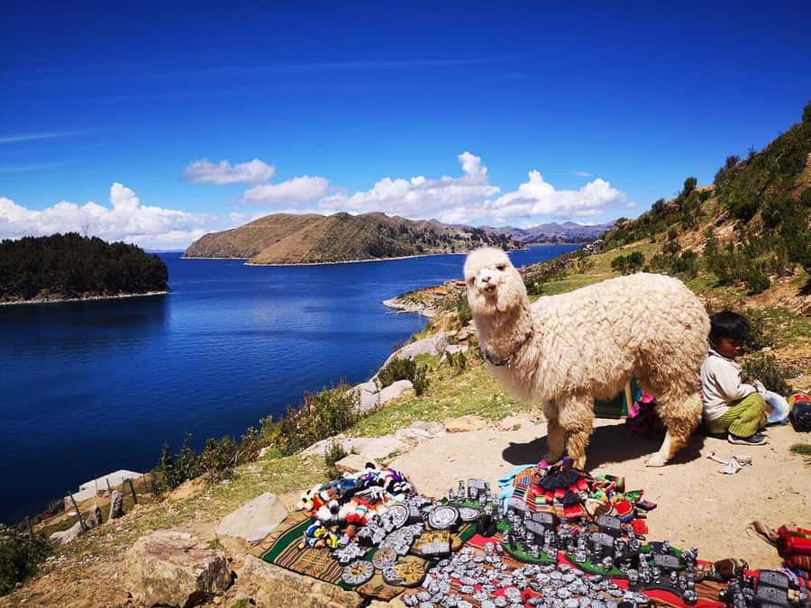 La Paz: Full Day Trip to Copacabana and Isla del Sol - Key points to know before booking