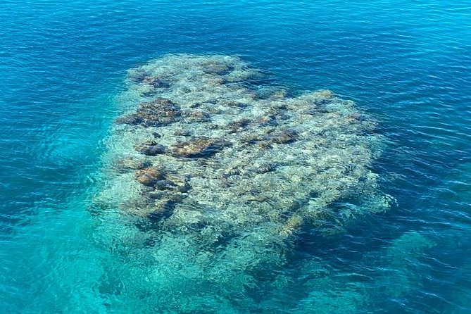 Lady Musgrave Day Trip from Bundaberg Including Snorkeling - The glass-bottom boat gives you a second view