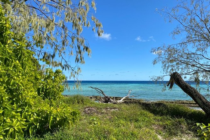 Lady Musgrave Day Trip from Bundaberg Including Snorkeling - Walking Lady Musgrave Island