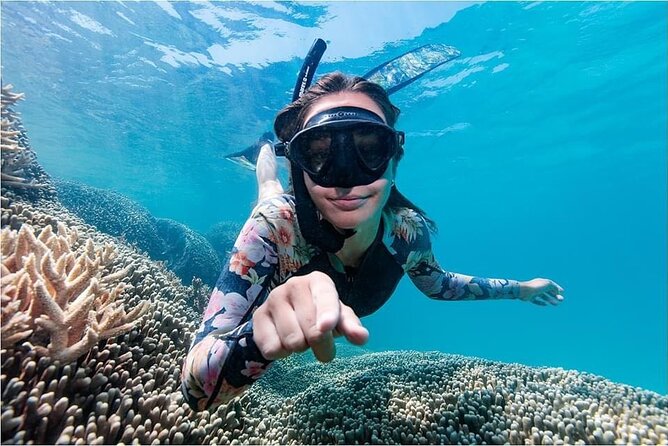Lady Musgrave Day Trip from Bundaberg Including Snorkeling - Optional scuba activities
