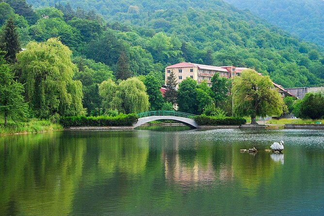 Lake Sevan & Dilijan Guided Day Trip with Ijevan Wine Tour - Who should book this tour?