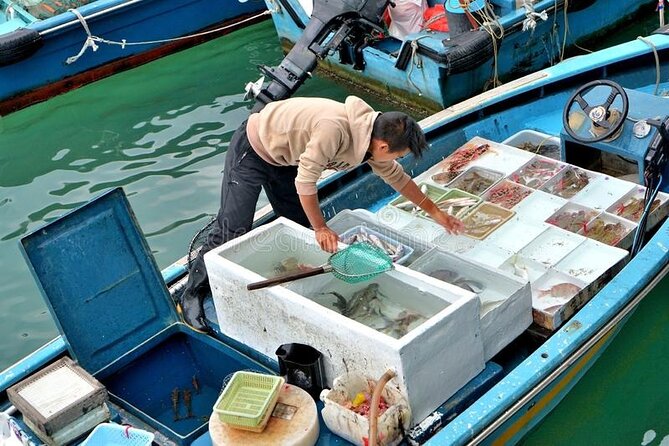Lantau Island Day Trip - Big Buddha & Tai O - Tai O Fishing Village and the Dolphin Boat Option