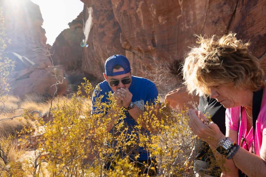 Las Vegas: Valley of Fire and Red Rock Canyon Day Trip - Why Valley of Fire is worth your morning