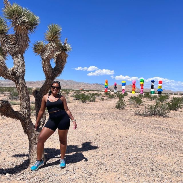 Las Vegas: Valley of Fire and Red Rock Canyon Day Trip - Atlatl Rock adds ancient human history