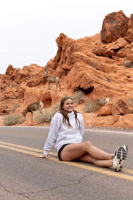 Las Vegas: Valley of Fire and Red Rock Canyon Day Trip - Elephant Rock starts the photo story