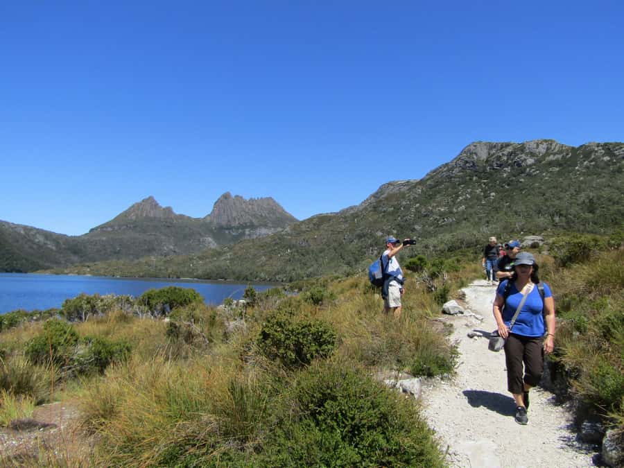 Launceston: Cradle Mountain Guided Active Day Trip - Marion’s Lookout rewards the extra effort
