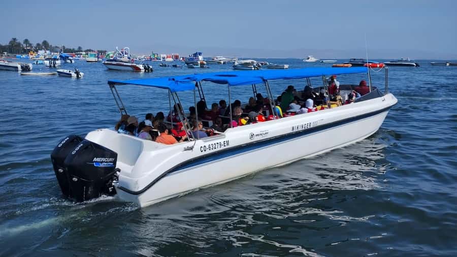 Lima: Paracas & Huacachina Oasis Day Trip with Wine & Dunes - Guides can make or break the schedule
