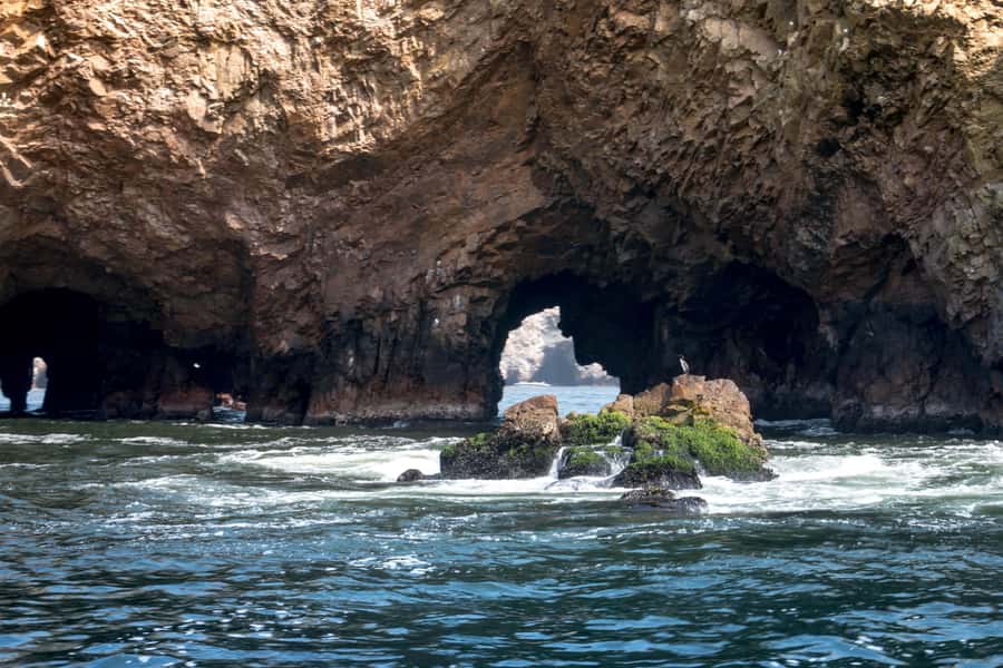 Lima: Paracas & Huacachina Oasis Day Trip with Wine & Dunes - Who should book this experience?