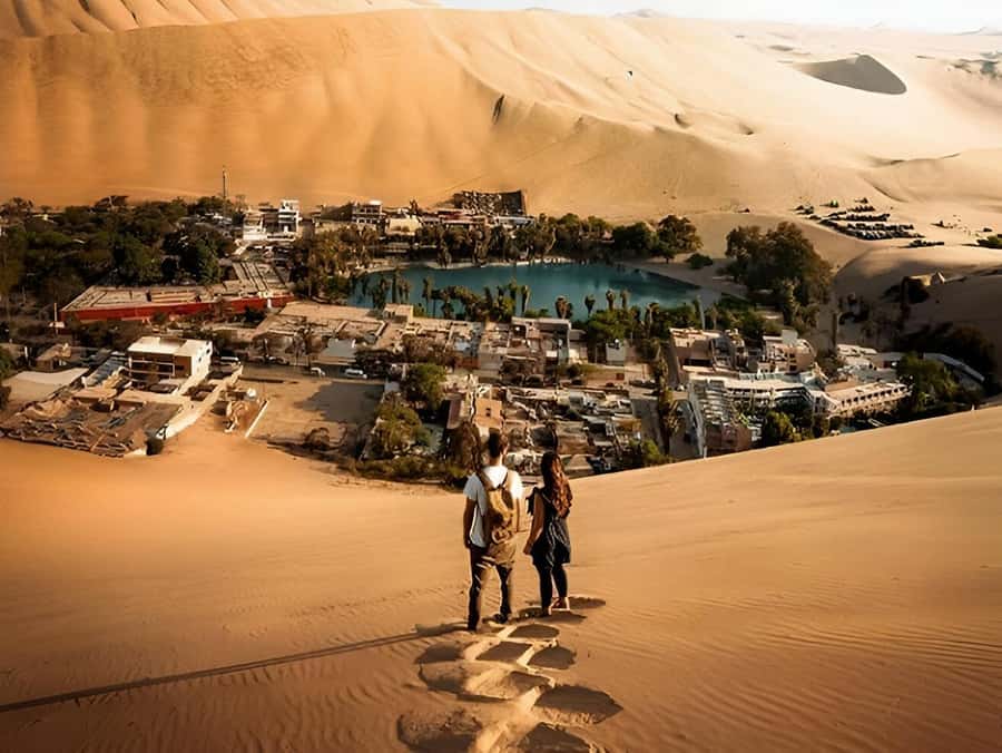 Lima: Paracas & Huacachina Oasis Day Trip with Wine & Dunes - Paracas begins with sea air and a cold boat ride