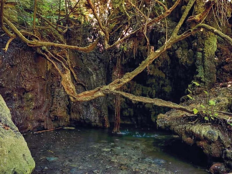 Limassol: Aphrodite Baths & Blue Lagoon Bus & Boat Day Trip - What You Get for $76